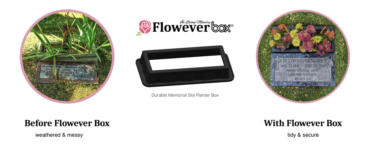 Flowever Box (with installation)
