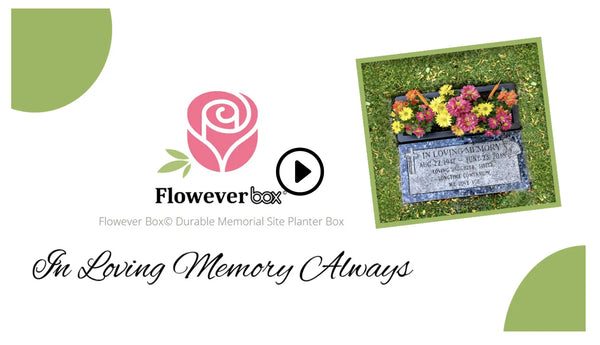 Flowever Box (with installation)